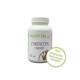 Cordyceps sinensis, 60 Kapseln